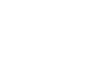 Logo Genesys